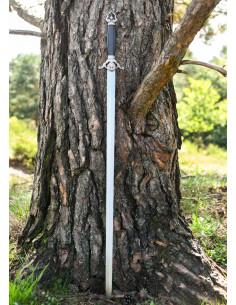 Espada de Tai Chi para praticar 2