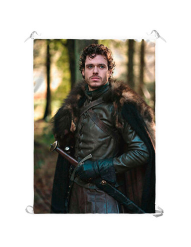 Estandarte Robb Stark, Game of Thrones (70x100 cm.)
 Material-Cetim