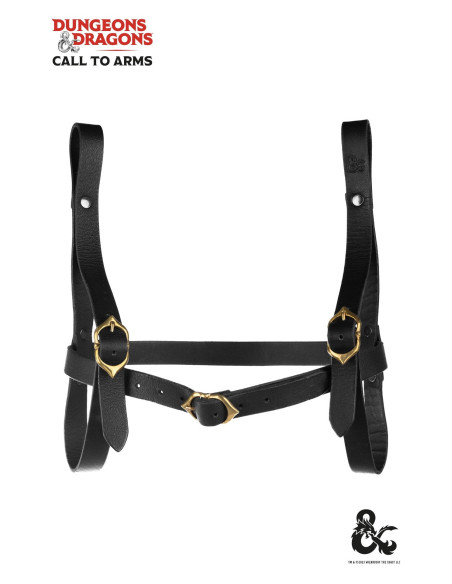 Porta-livros de feiticeiro medieval,...