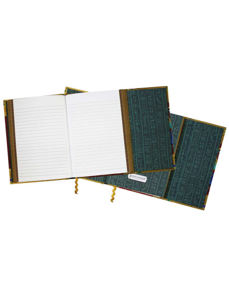 Diário com desenho de escaravelho...