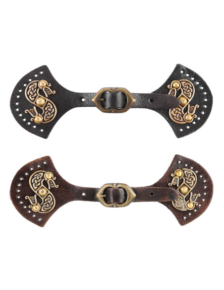 Fechamento de dragões modelo de capa...