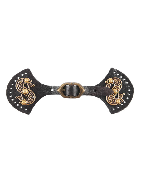 Fechamento de dragões modelo de capa...