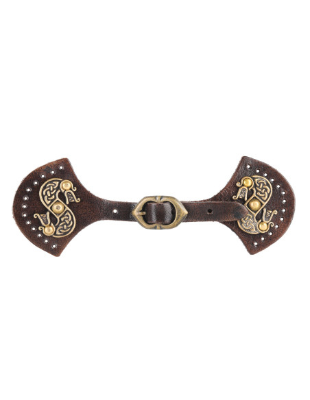 Fechamento de dragões modelo de capa...