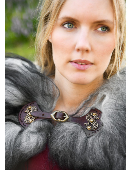 Fechamento de dragões modelo de capa...