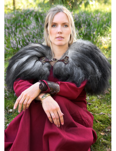 Fechamento de dragões modelo de capa...