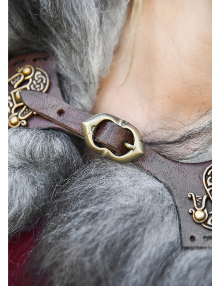 Fechamento de dragões modelo de capa...