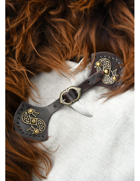 Fechamento de dragões modelo de capa...