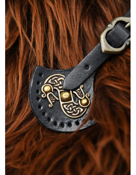 Fechamento de dragões modelo de capa...