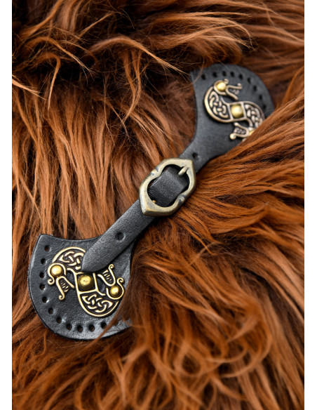 Fechamento de dragões modelo de capa...