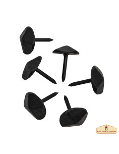 Conjunto de 6 pregos de ferro forjado com acabamento...