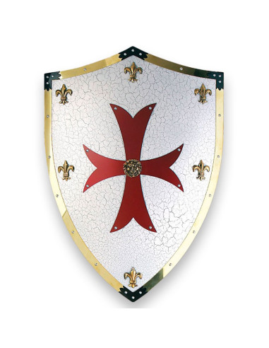 cruzados de escudo