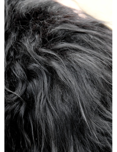 Protetor de ombro Viking para...