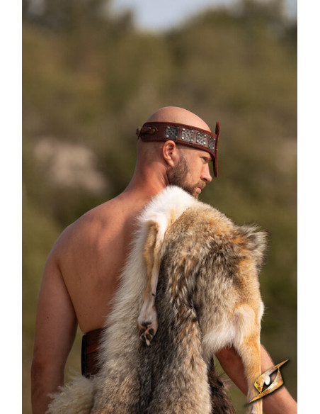 Tiara da Força, com proteção nasal,...