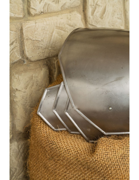 Omoplatas medievais de aço polido...