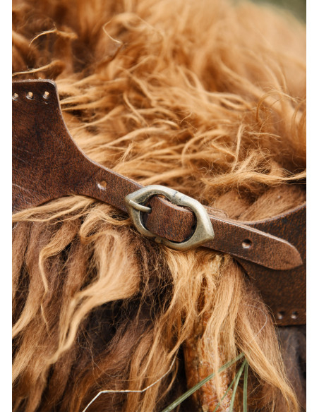 Fecho de pescoço com fivela, cor marrom