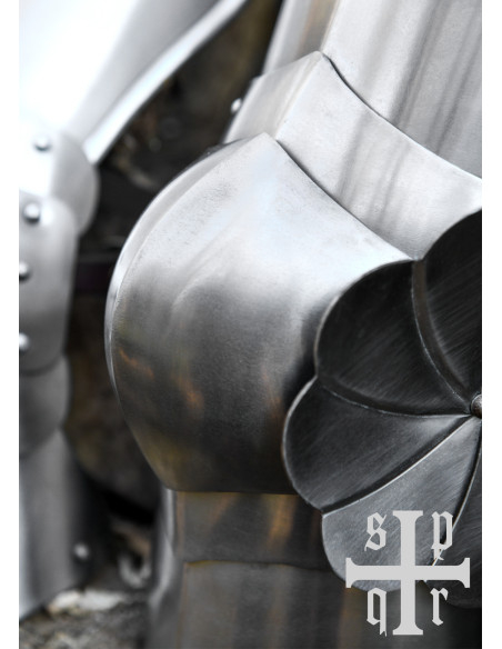 Protetores medievais em aço para...