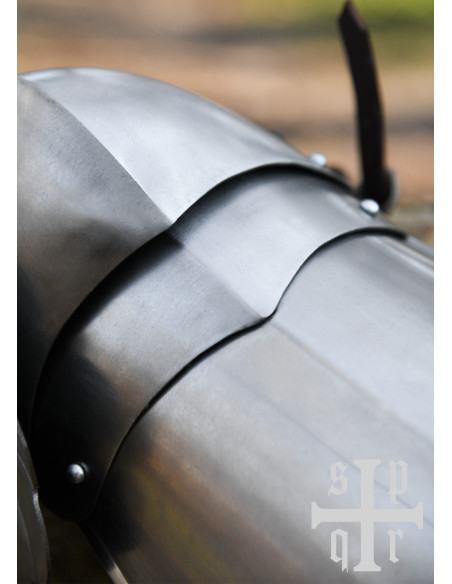 Protetores medievais em aço para...