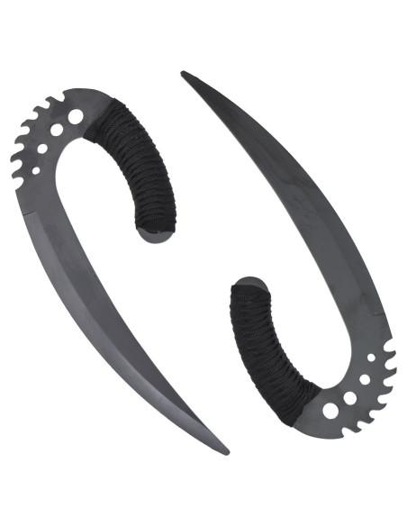 Garras de Sabre Negro As Crônicas de...