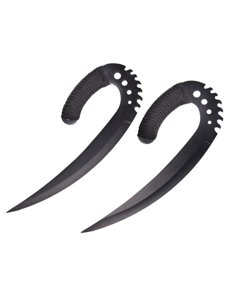 Garras de Sabre Negro As Crônicas de...