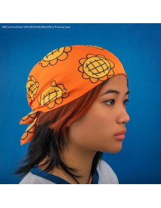 Moedas e bandana de Nami - One Piece 2