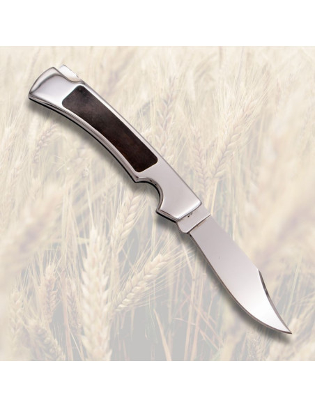 Faca Gran Dinamarquesa de Tramuntana...