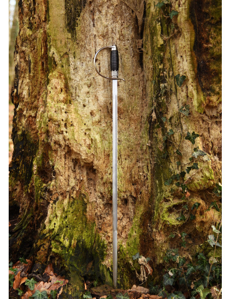 Espada Rapiéra Alemã decorativa com...