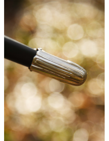 Espada Rapiéra Alemã decorativa com...