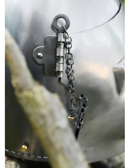 Capacete com focinho de cão de caça...