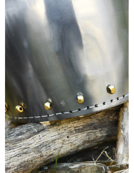 Capacete com focinho de cão de caça...